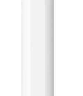 Apple Pencil USB-C